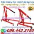 Cẩu mốc động cơ mini bằng tay 2 tấn và 3 tấn