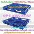 Pallet nhựa PL480 KT 1200x1000x150mm giá rẻ, siêu cạnh tranh call 0984423150 – Huyền