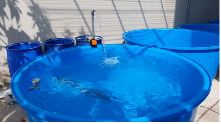 Thùng chữ nhật 50 lít 100 lít 200 lít 300 lít 500 lít 750 lít 1000 lít 1100 lít 2000 lít giá rẻ