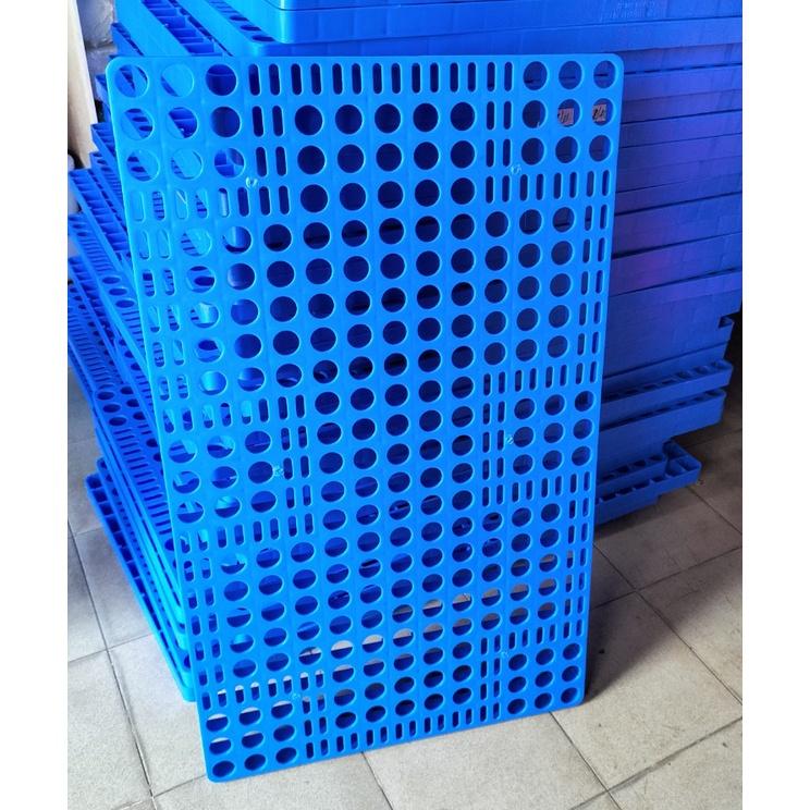 Sàn nhựa lót nuôi heo, dê 1000x600x75mm màu xanh